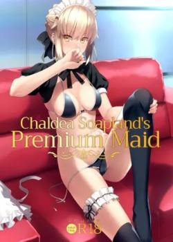 Chaldea Soap SSS-kyuu Gohoushi Maid - Colorized