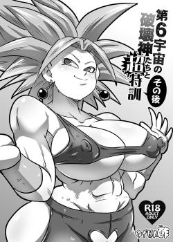 Dai 6 Uchuu no Hakaishin-tachi to Chou Tokkun Sonogo