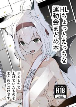 HL Chotto Ecchi na Undoukai Matome Hon