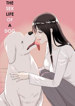 Inu no Iru-sei Katsu