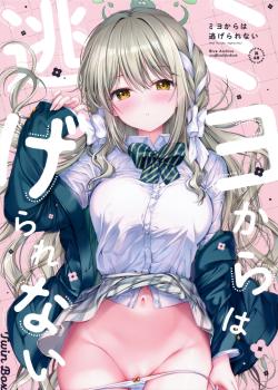 Miyo kara wa Nigerarenai