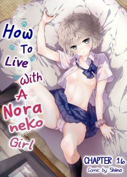 Noraneko Shoujo to no Kurashikata Ch. 16-26