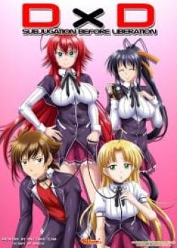 Subjugation Before Liberation (High School DxD) [Palcomix]